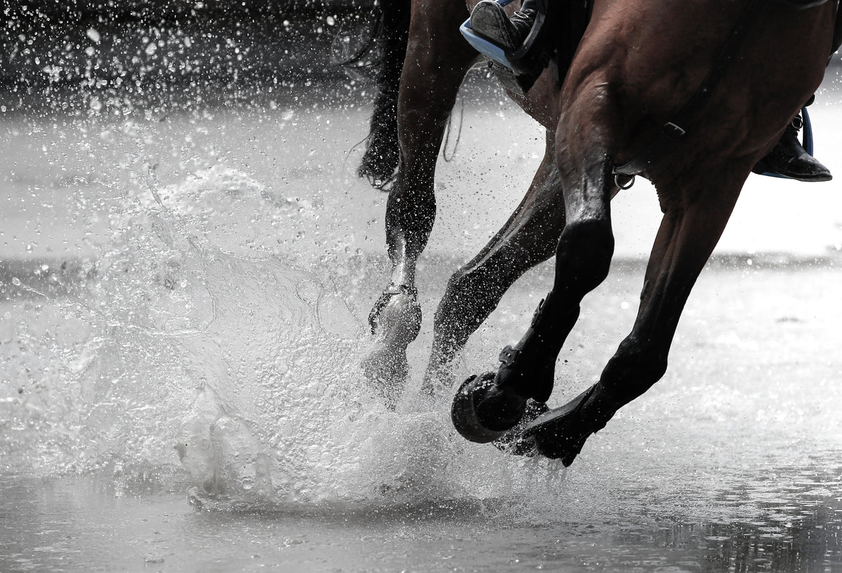 EquiFlow Horse megaHA supplements